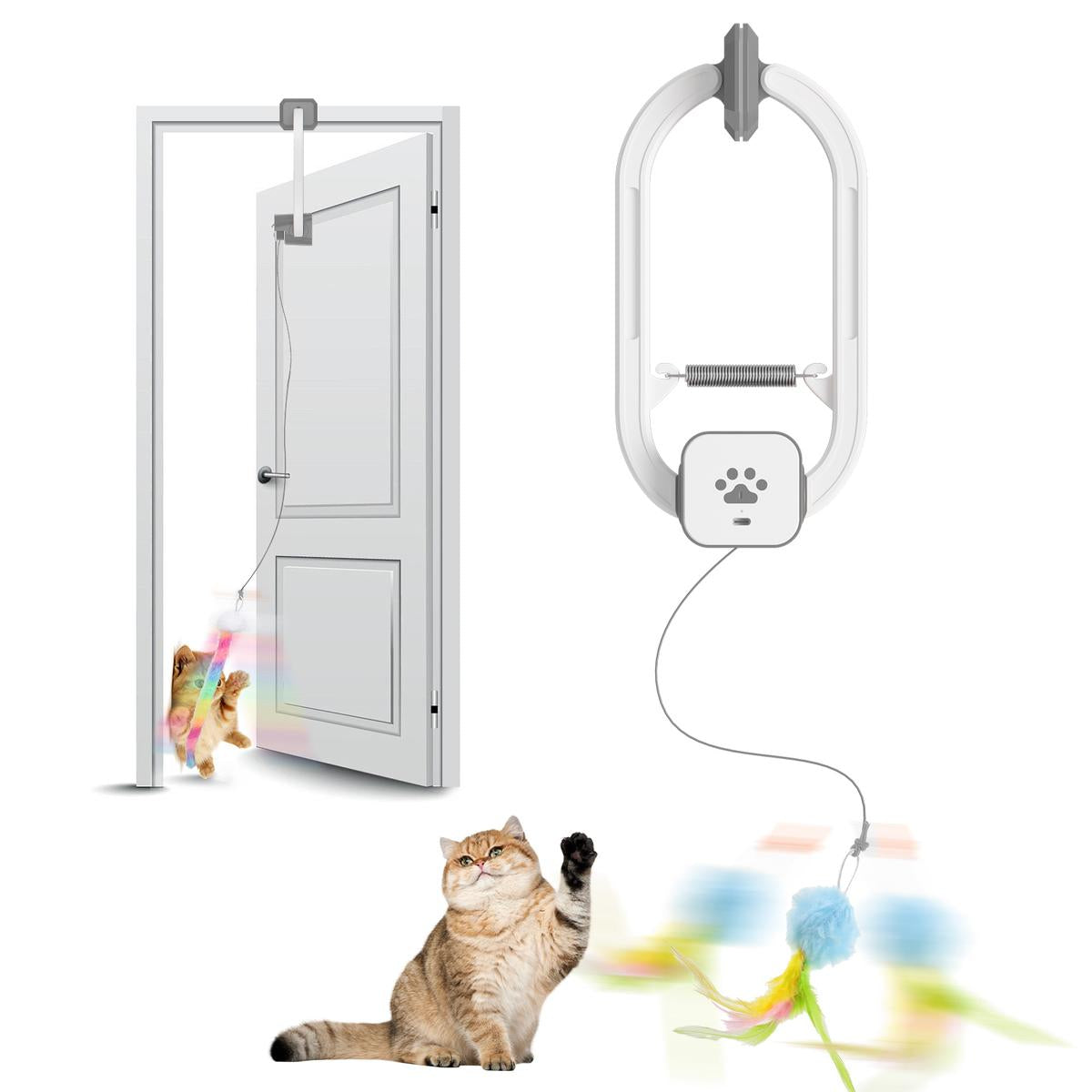 Electric Cat Teaser with Remote