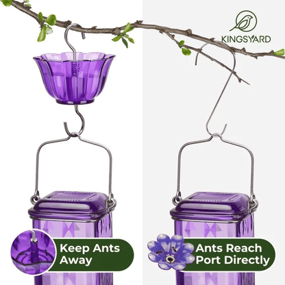 🐦✨Attract Hummingbirds in Style: Discover the Ultimate Feeder!