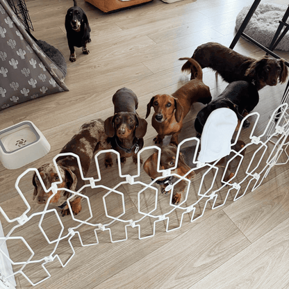 Dog Safety Gate Plus – Strong No-Drill Pet Gate | One-Hand Use, No Wall Damage