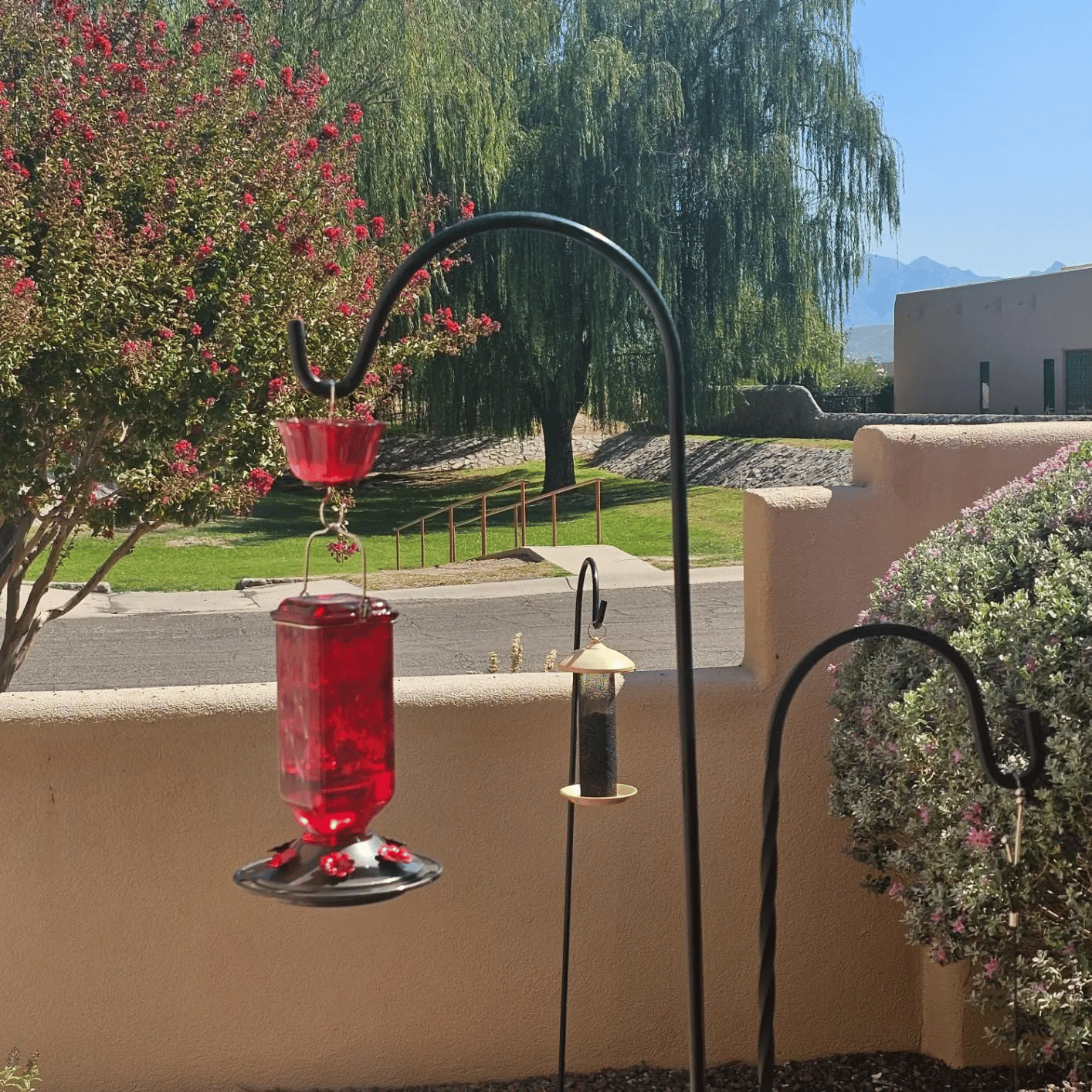 🐦✨Attract Hummingbirds in Style: Discover the Ultimate Feeder!