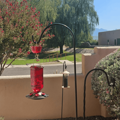 🐦✨Attract Hummingbirds in Style: Discover the Ultimate Feeder!