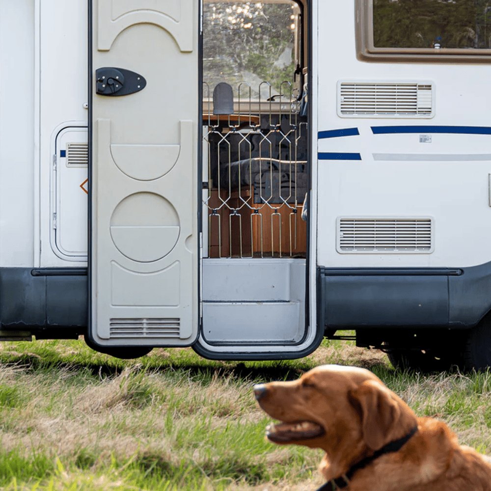 Dog Safety Gate Plus – Strong No-Drill Pet Gate | One-Hand Use, No Wall Damage