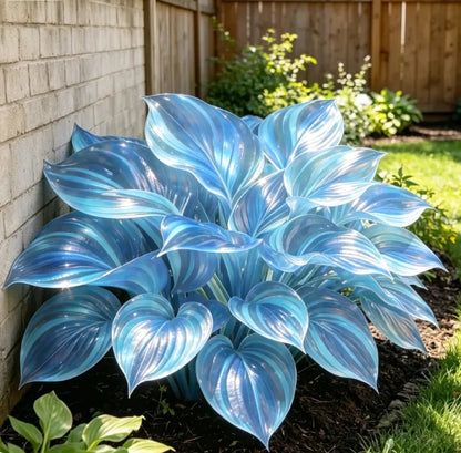 💎 Rare Multi-Color Opal Hosta Seeds – Shimmering Foliage for Elegant Shade Gardens 🌿