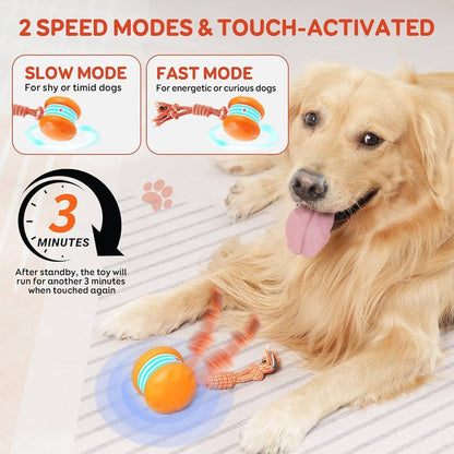🐶Keep Your Pet Relaxed, Happy & Content 🐾