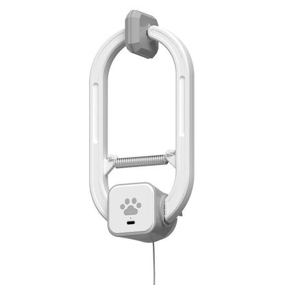 Electric Cat Teaser with Remote