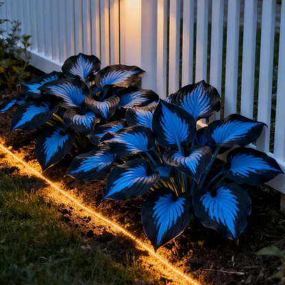 🔥Celebrate America's 250th 🌱Premium Rare Hosta Seeds🌿Shade-Tolerant Plant